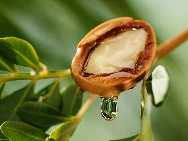 ORGANIC ARGAN OIL - beard oil ingredient